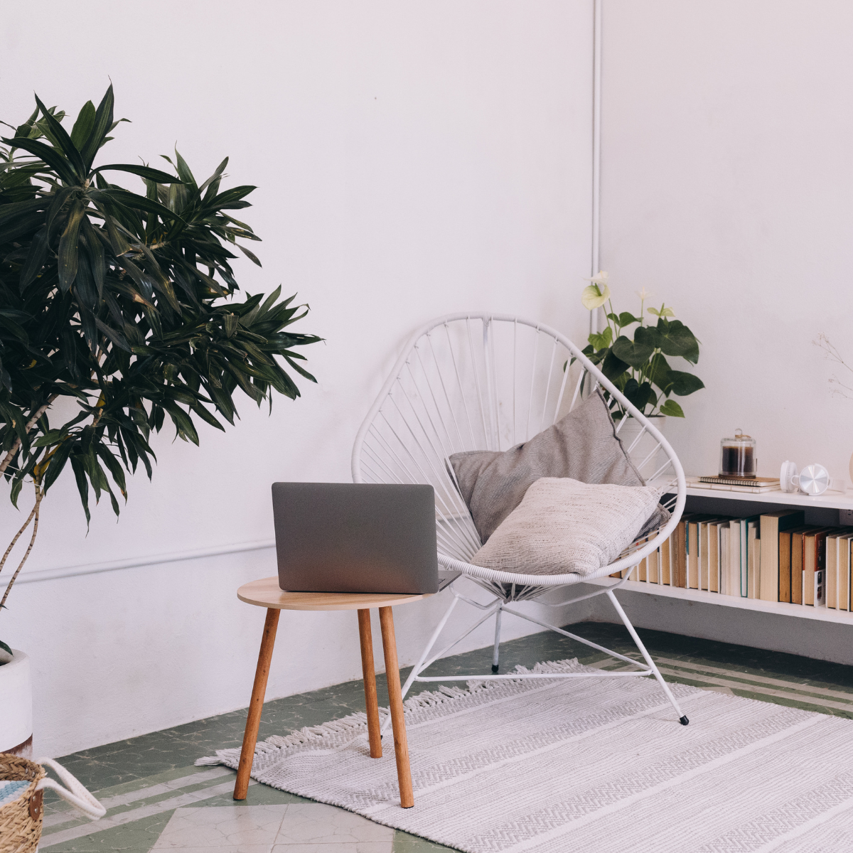 3 ways to live a sustainable life at home