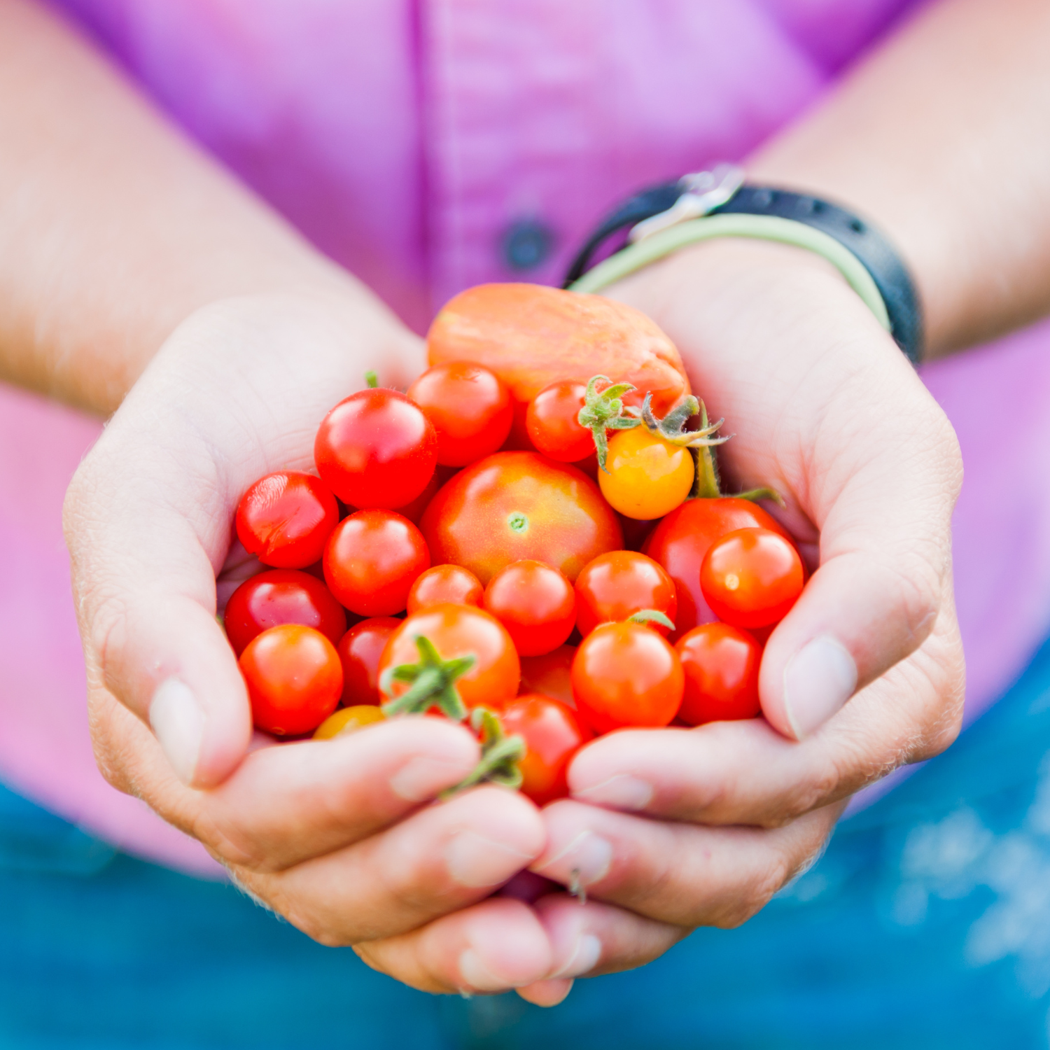 Best hydroponic growing systems for growing vegetables, such as the pros and cons of each system, recommended plants to grow, and tips for successful gardening.