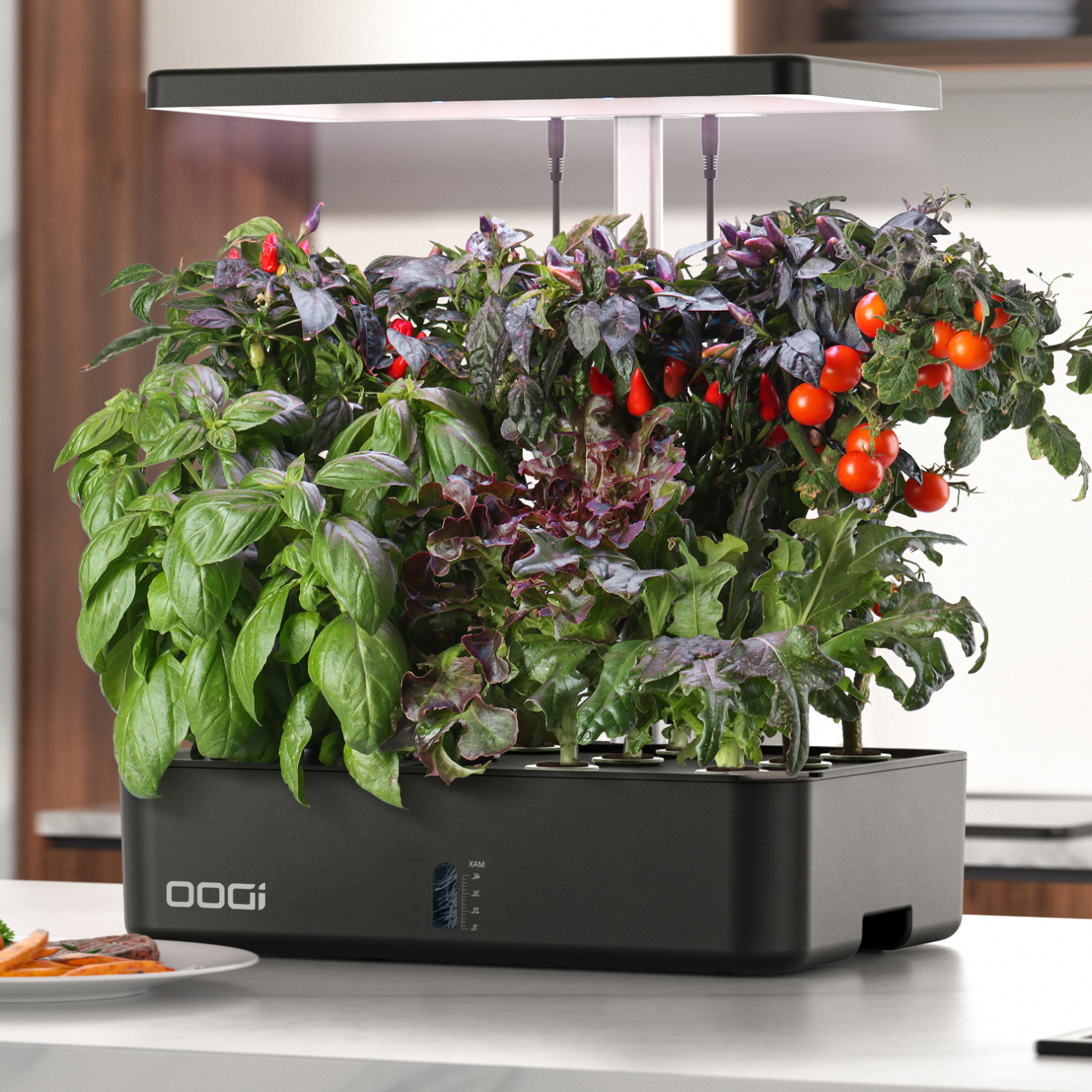 "Faster Growth with Hydroponic Systems: How It Works" article with a picture of a hydroponic system with plants growing in a nutrient-rich solution and a pump circulating the solution through the system.