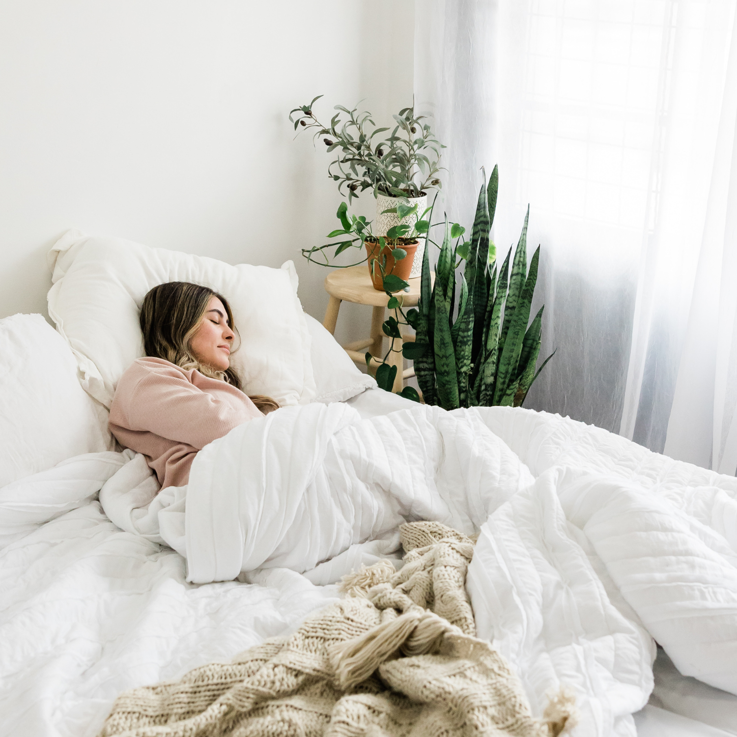 An image featuring 10 indoor plants that promote restful sleep.