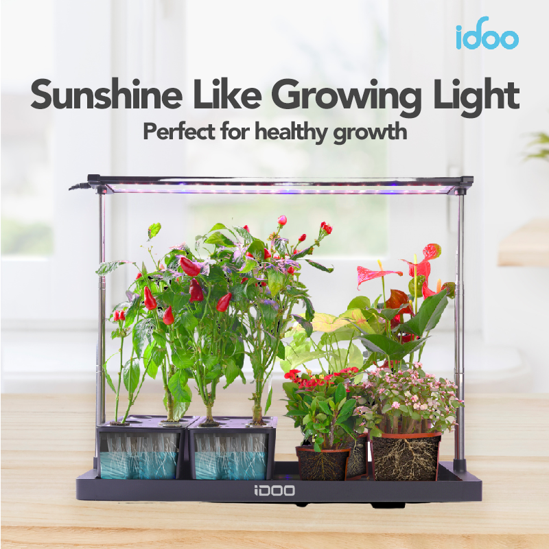 iDOO 20 Pods Indoor Herb Garden Kit - 20 Pods _wf_cus Best Seller Best Seller_CA fathersday Hydroponic Growing System by idoogroup