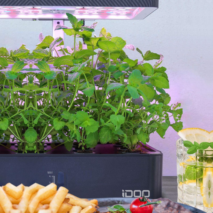 iDOO Seed Pods kit Kit de jardín hidropónico con esponjas de crecimiento de 12 piezas