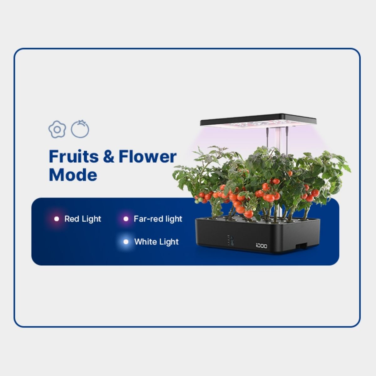 iDOO 12 Pods Indoor Herb Garden Kit - 12 Pods _wf_cus BFD AU Hydroponic Growing System by idoogroup