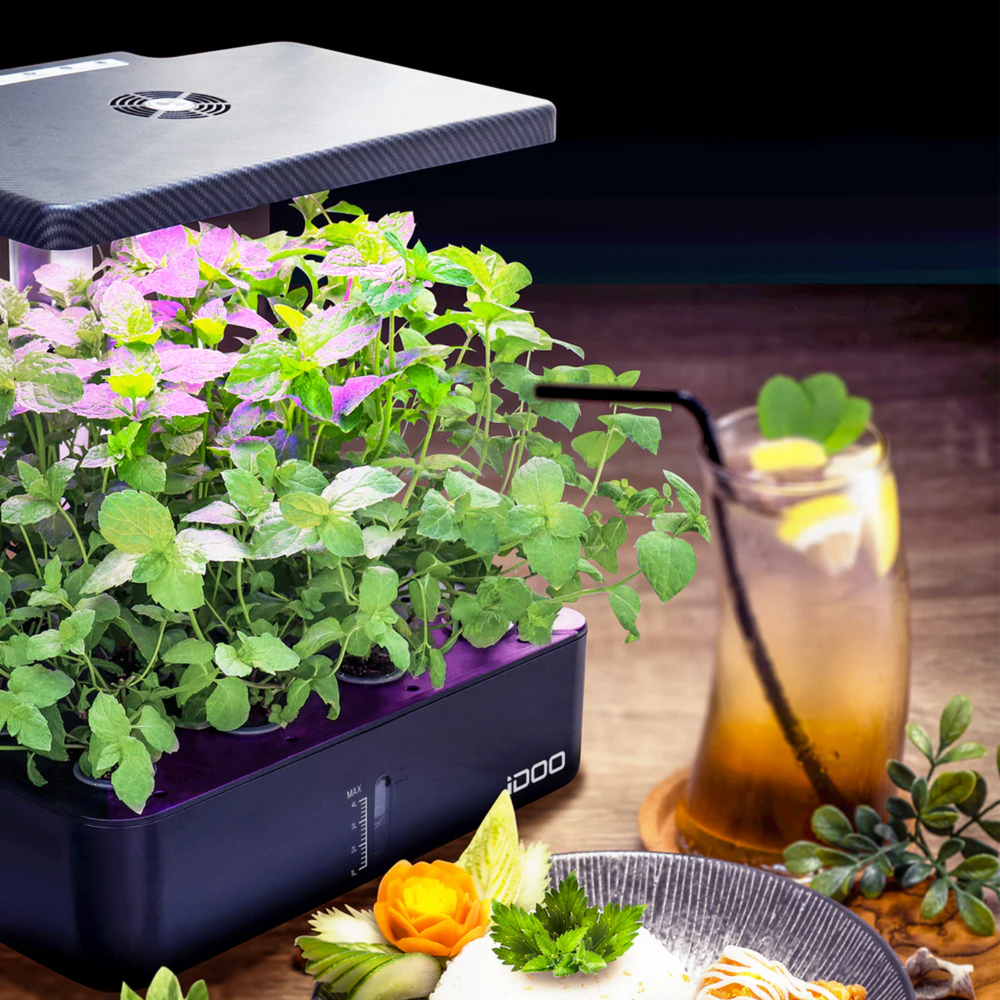 Unlocking the Secrets: How to Choose the Perfect Hydroponic Growing ...