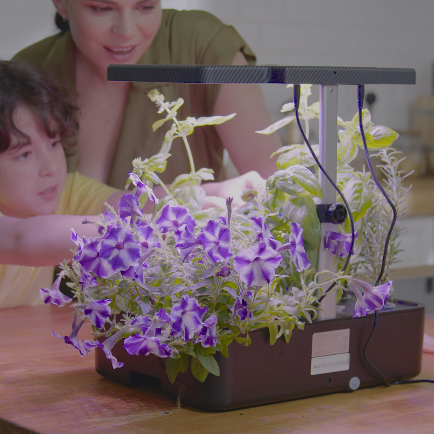 "Customizable hydroponic systems" - Image of a hydroponic system with adjustable knobs and dials for making changes to the system's settings.