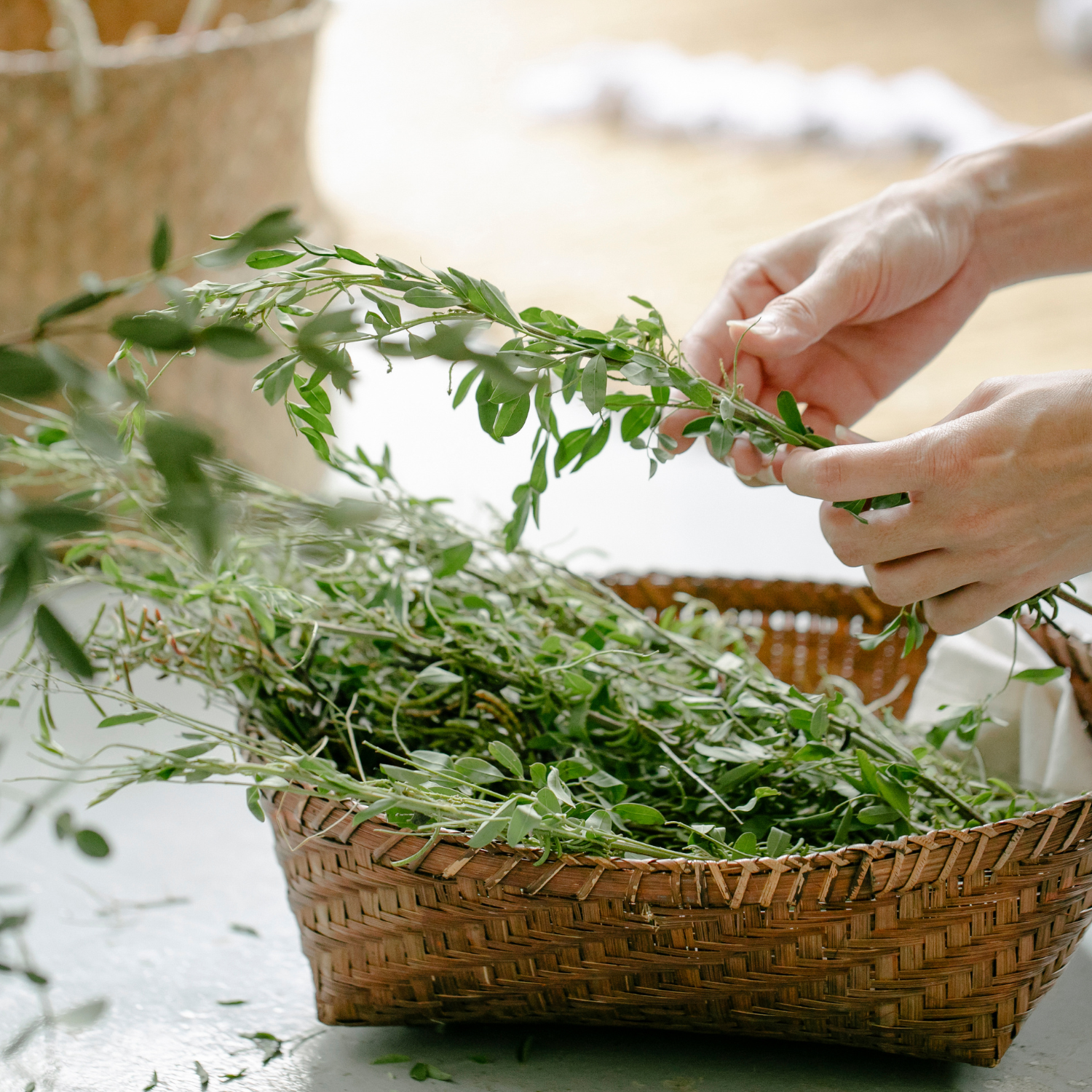 5 Healthy Herbs to Boost Your Nutrition
