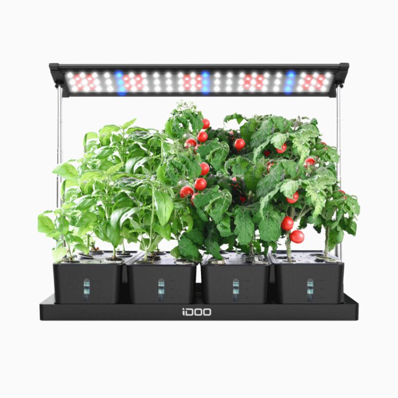 iDOO 20 Pods Indoor Herb Garden Kit - 20 Pods _wf_cus BFDpick Hydroponic Growing System by idoogroup
