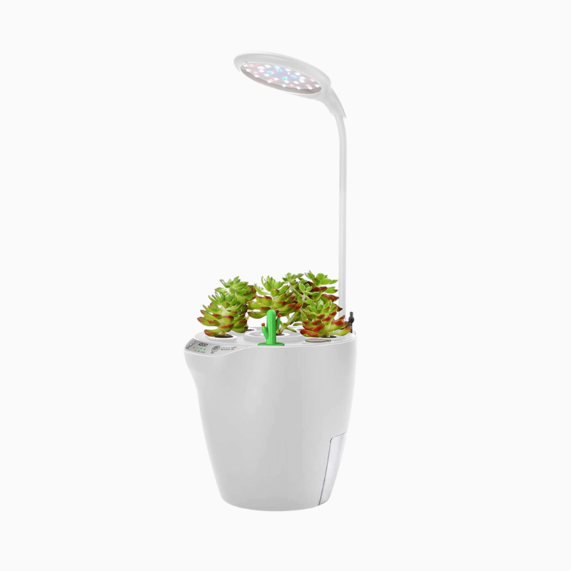 iDOO 2 in 1, 6 Pods Hydro Indoor Herb Garden with LED Grow Lights US - 6 Pods _wf_cus Hydroponic Growing System by iDOO