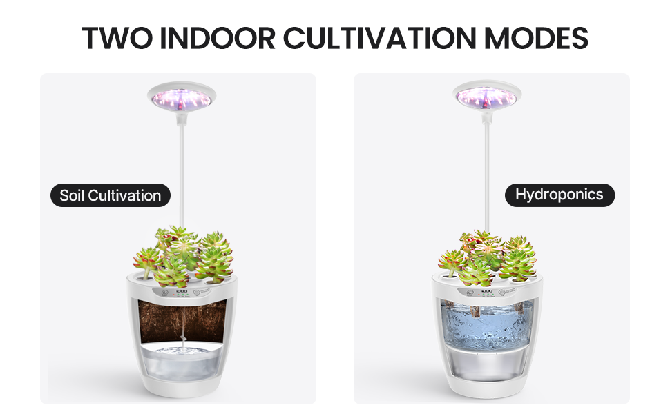 iDOO 2 in 1, 6 Pods Hydro Indoor Herb Garden with LED Grow Lights - 6 Pods _wf_cus Best Seller Hydroponic Growing System by iDOO