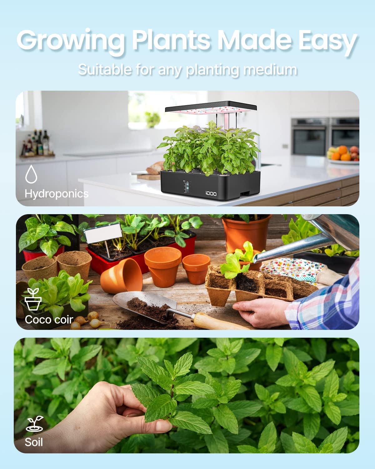 iDOO Vegetable & Herb Seed Packets - Seed by idoo