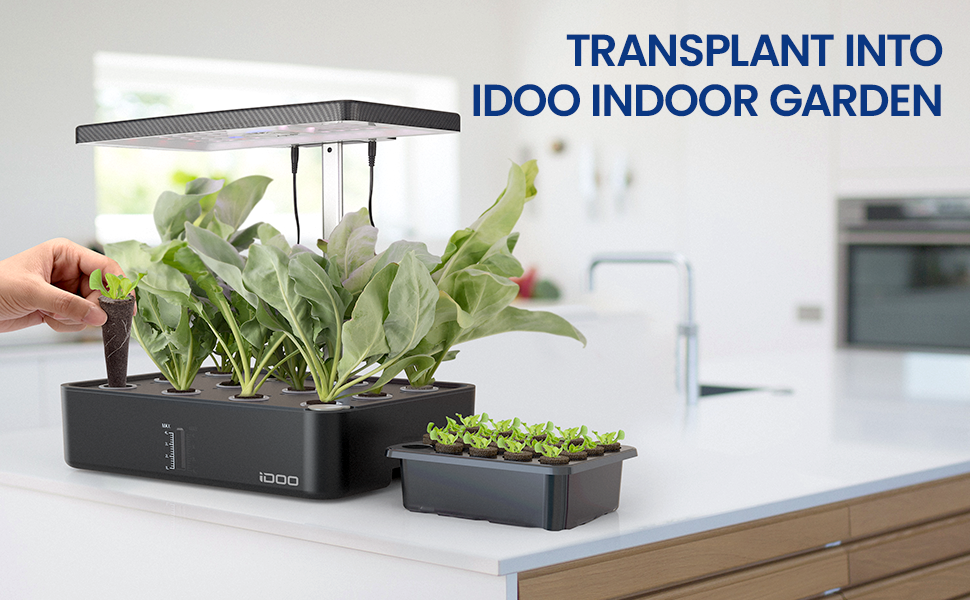 Idoo hydroponics store growing system seeds